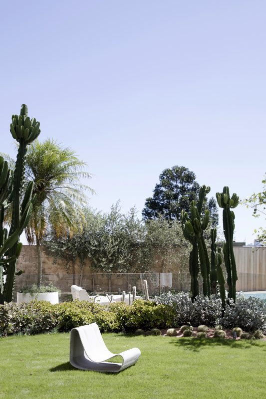 Palms-Spring-Inspired-Garden-Features-Cacti-Agaves-Succulents
